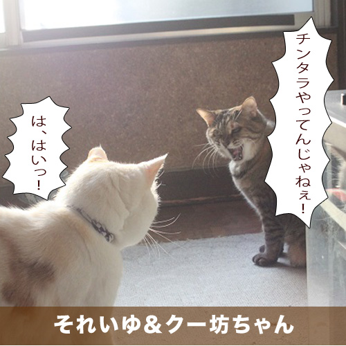 20201022_touko.jpg
