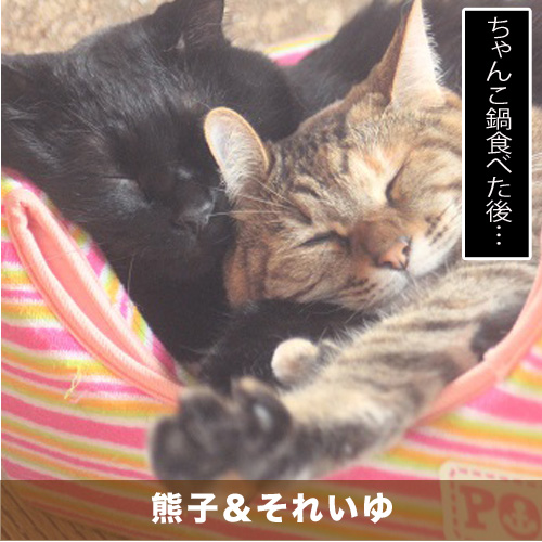 20201025_touko.jpg