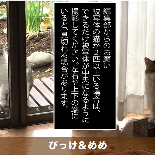 20201028_touko.jpg