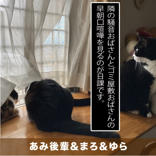 20201029_touko.jpg
