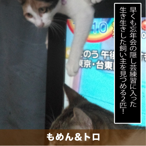 20201030_touko.jpg