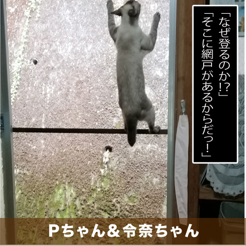 20201031_touko.jpg