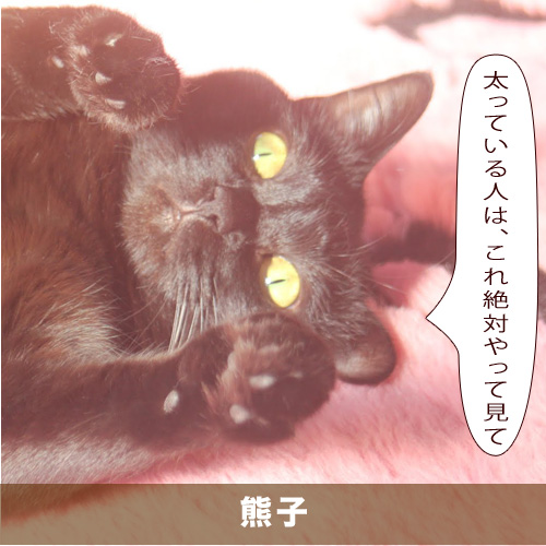 20201102_touko.jpg