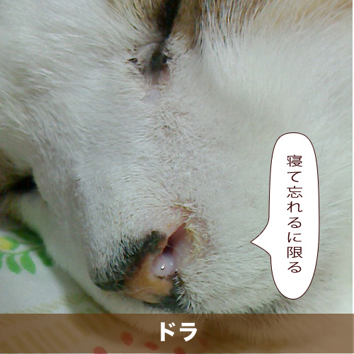 20201108_touko.jpg