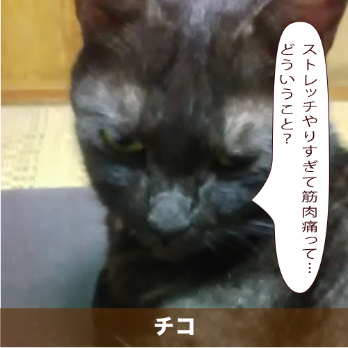 20201109_touko.jpg