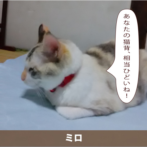 20201110_touko.jpg