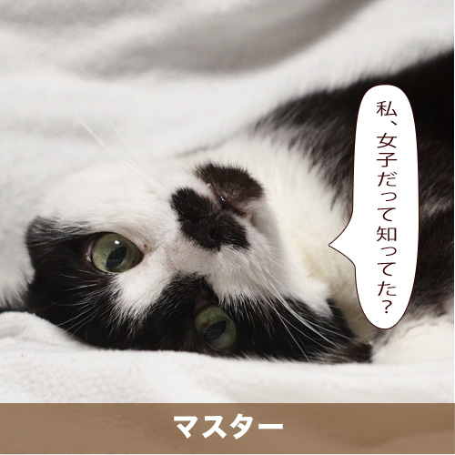 20201112_touko.jpg
