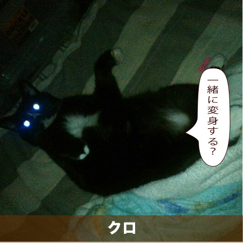 20201115_touko.jpg