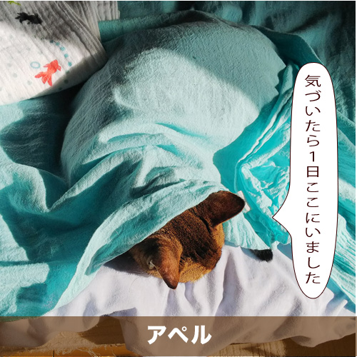 20201116_touko.jpg