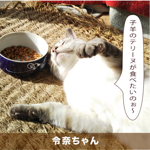 20201119_touko.jpg