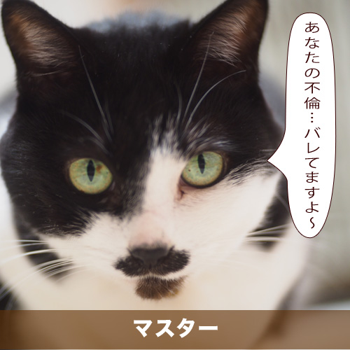 20201121_touko.jpg