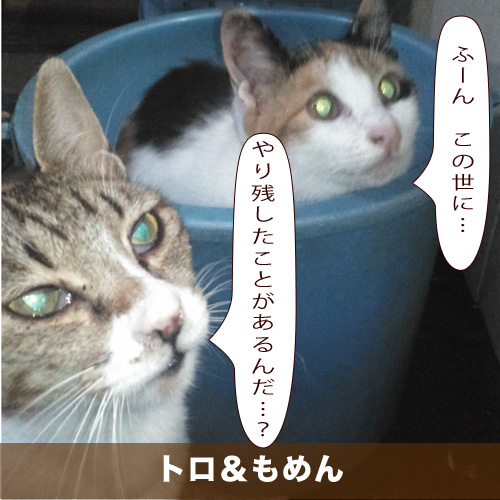20201123_touko.jpg