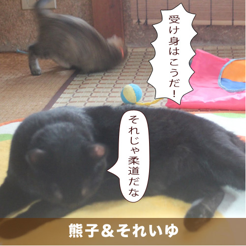 20201126_touko.jpg
