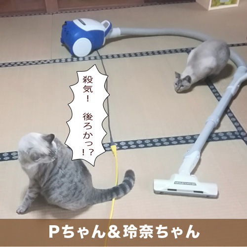 20201128_touko.jpg