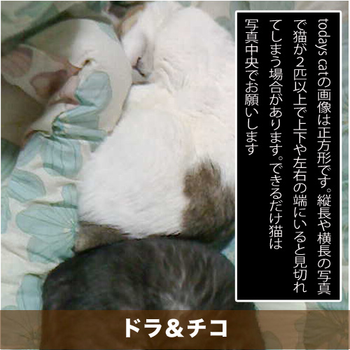 20201130_touko.jpg