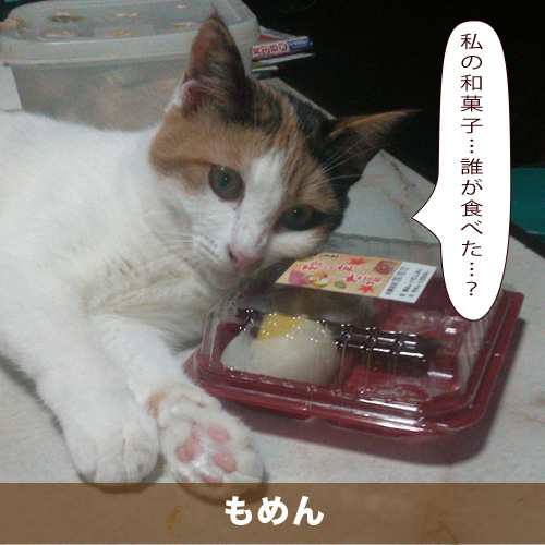 20201202_touko.jpg