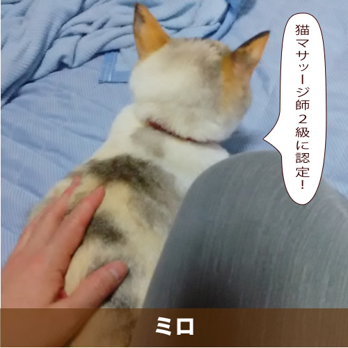 20201203_touko.jpg