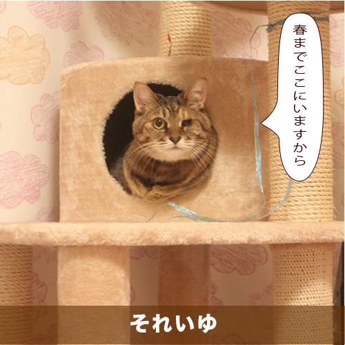 20201205_touko.jpg
