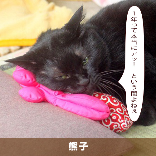 20201209_touko.jpg