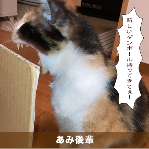 20201210_touko.jpg
