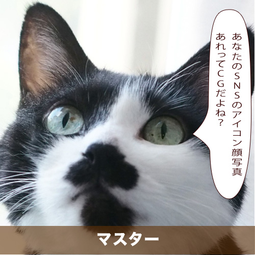 20201212_touko.jpg