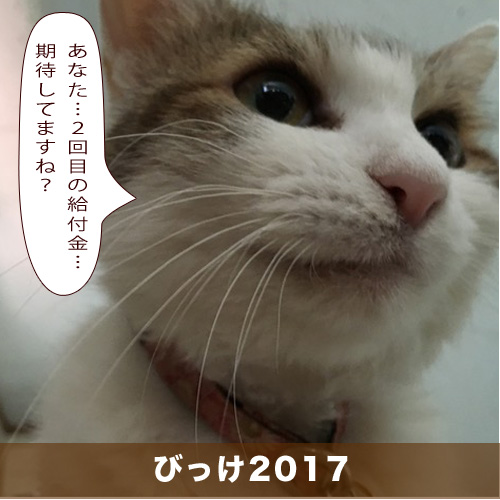 20201214_touko.jpg