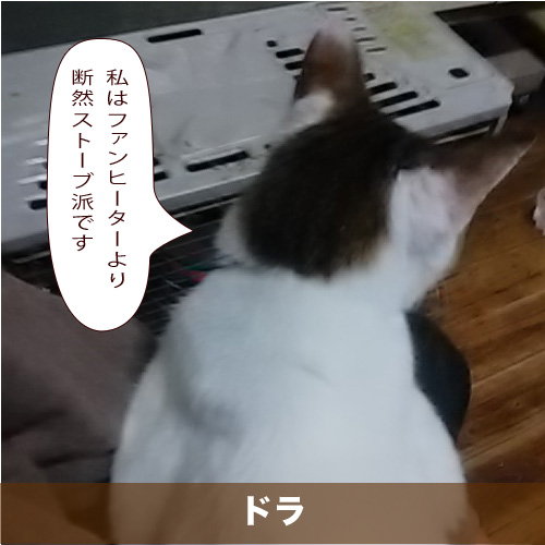 20201216_touko.jpg
