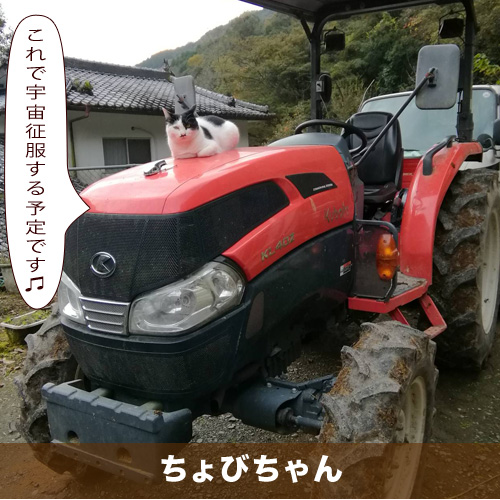 20201219_touko.jpg