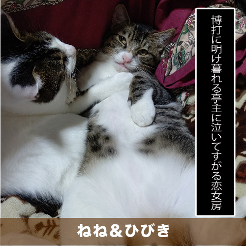 20201222_touko.jpg