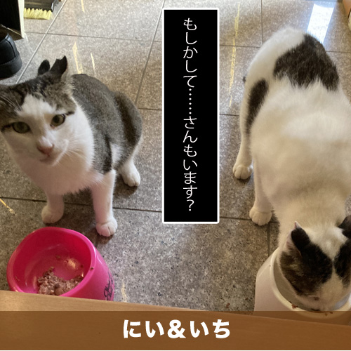 20201223_touko.jpg