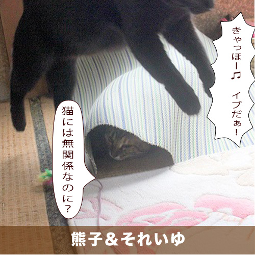 20201224_touko.jpg