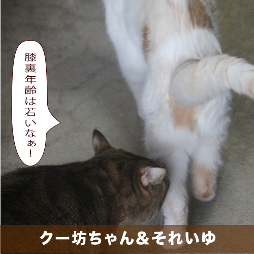20201227_touko.jpg