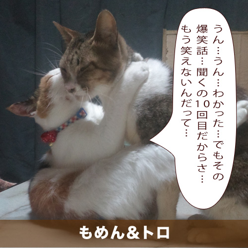 20201229_touko.jpg