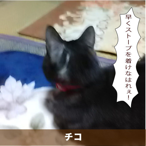 20201230_touko.jpg