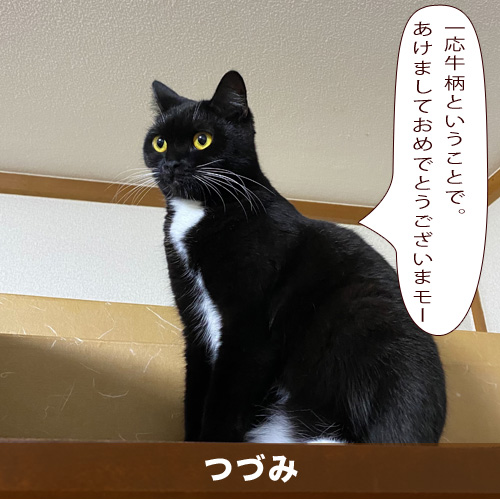 20210101_touko.jpg