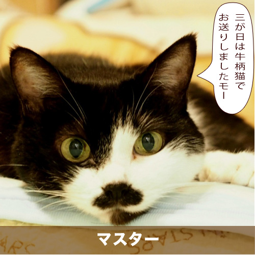 20210103_touko.jpg