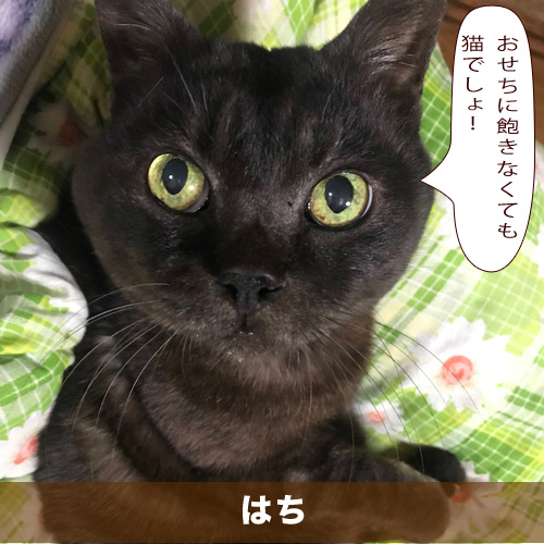 20210104_touko.jpg