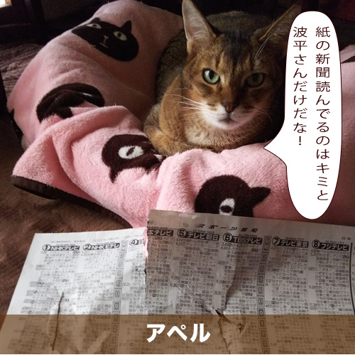 20210107_touko.jpg