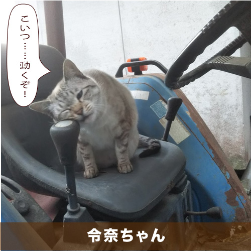 20210109_touko.jpg