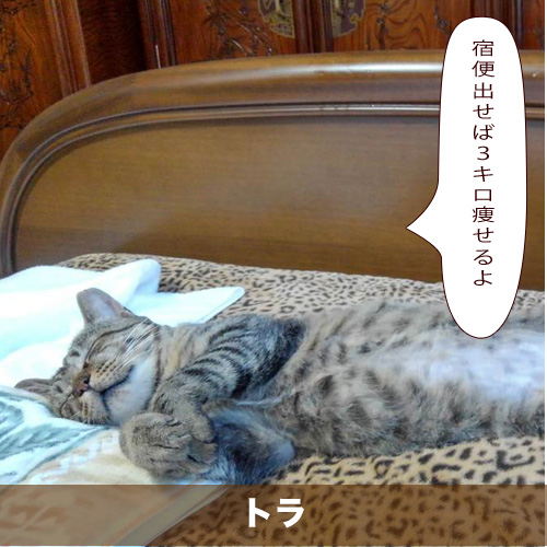 20210110_touko.jpg