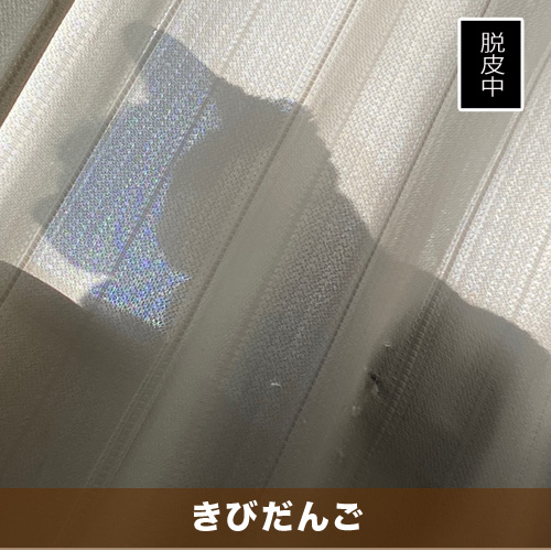 20210111_touko.jpg