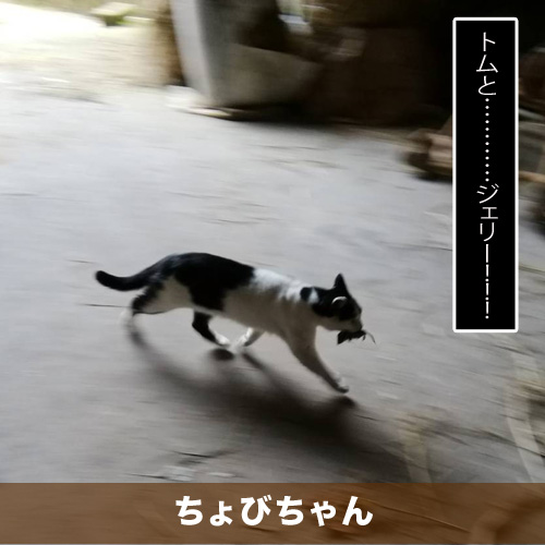 20210112_touko.jpg