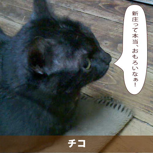 20210113_touko.jpg