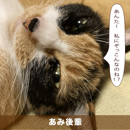 20210115_touko.jpg