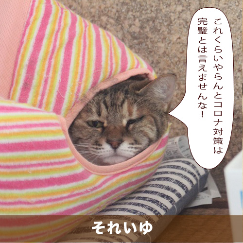 20210116_touko.jpg