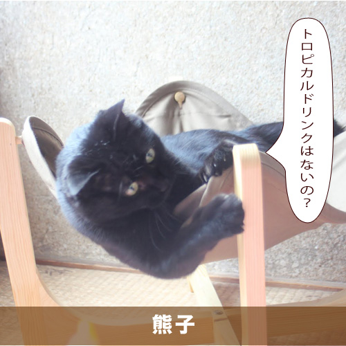 20210119_touko.jpg