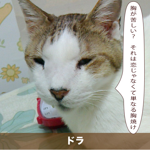 20210122_touko.jpg