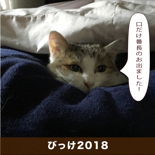 20210124_touko.jpg