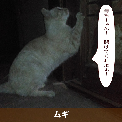 20210126_touko.jpg