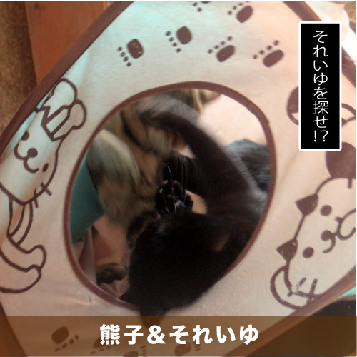 20210128_touko.jpg